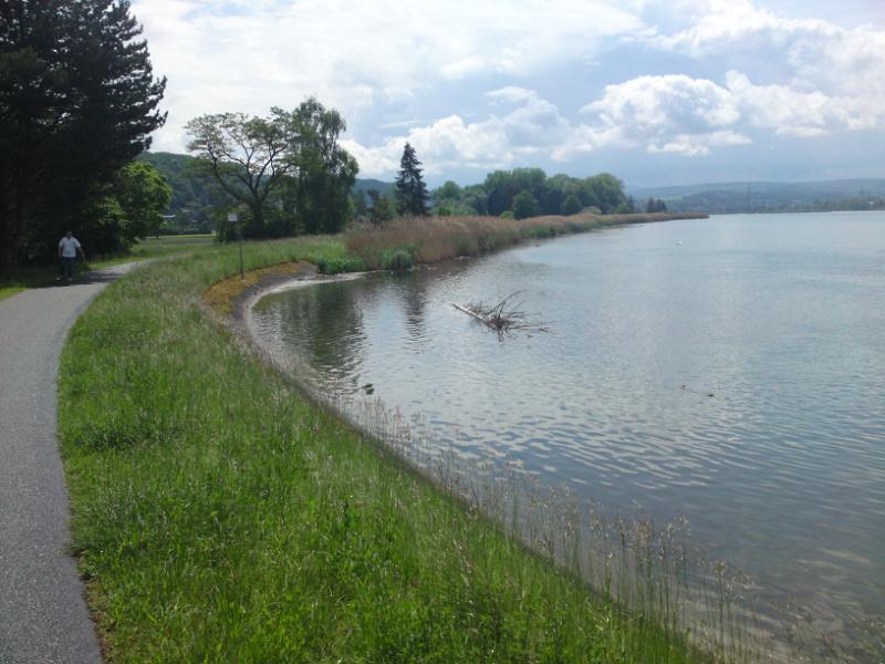 DSC01519.JPG - Bei Koblenz geht der Radweg am Naturschutzreservat Klingnauer Stausee entlang.