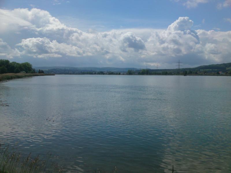 DSC01521.JPG - Ruhig liegt der Stausee Klingnau in der Landschaft eingebettet.