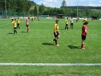IMG 0378