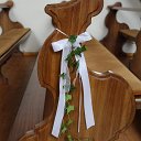 IMG_0566
