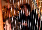 IMG 4254