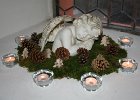 IMG 4272