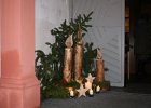 IMG 4294
