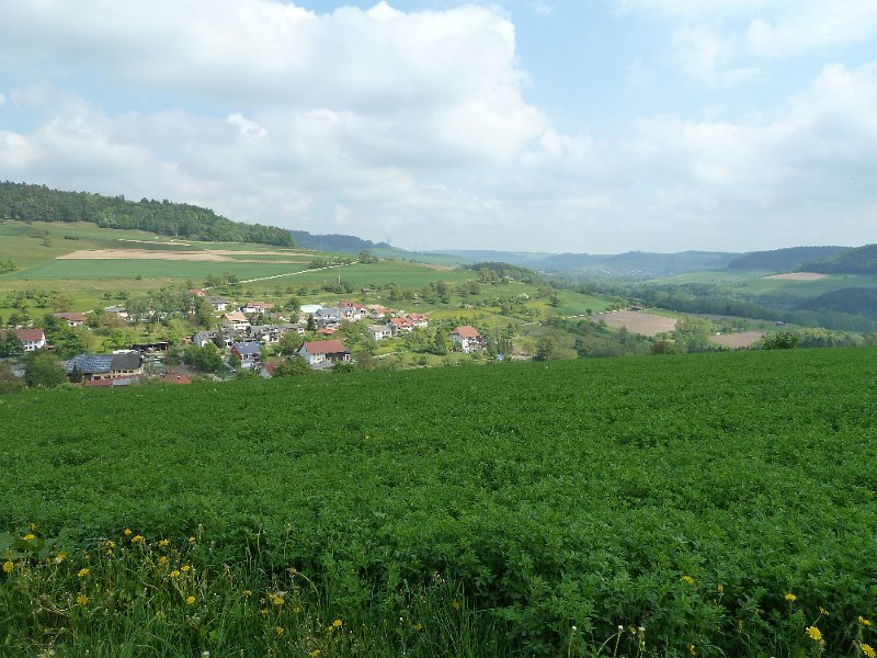 P1000477.JPG