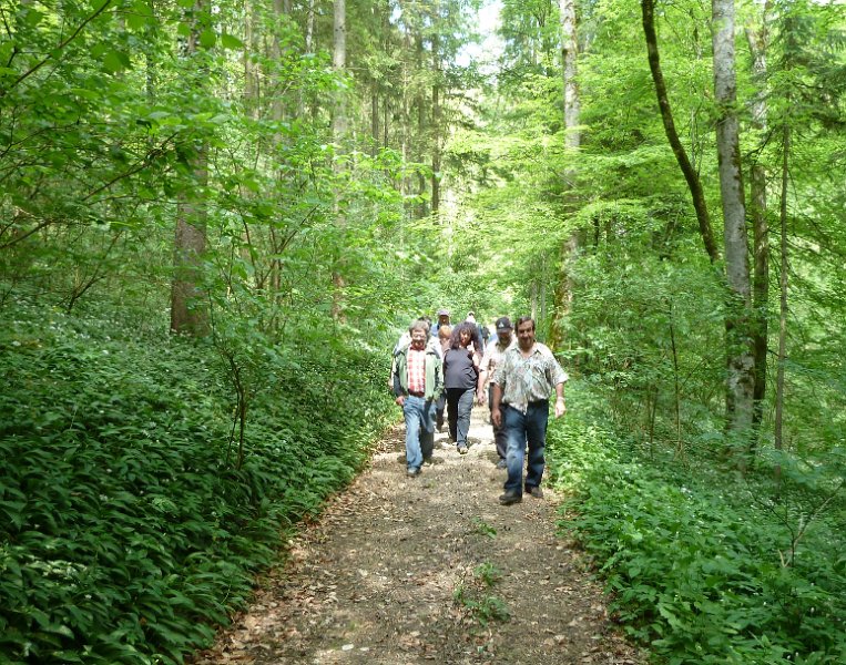 P1000480.JPG