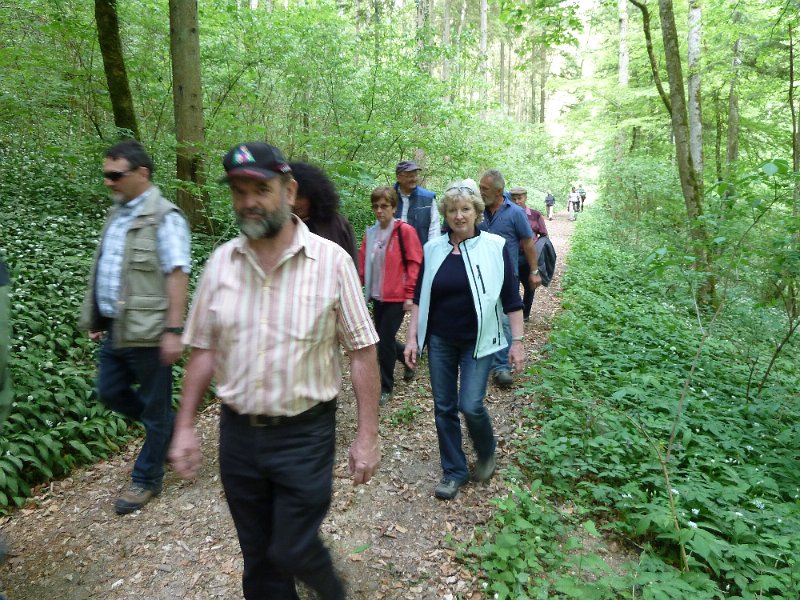 P1000481.JPG