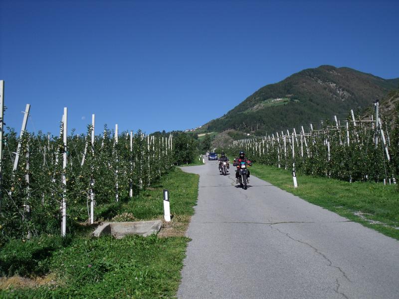 DSCF1621.JPG