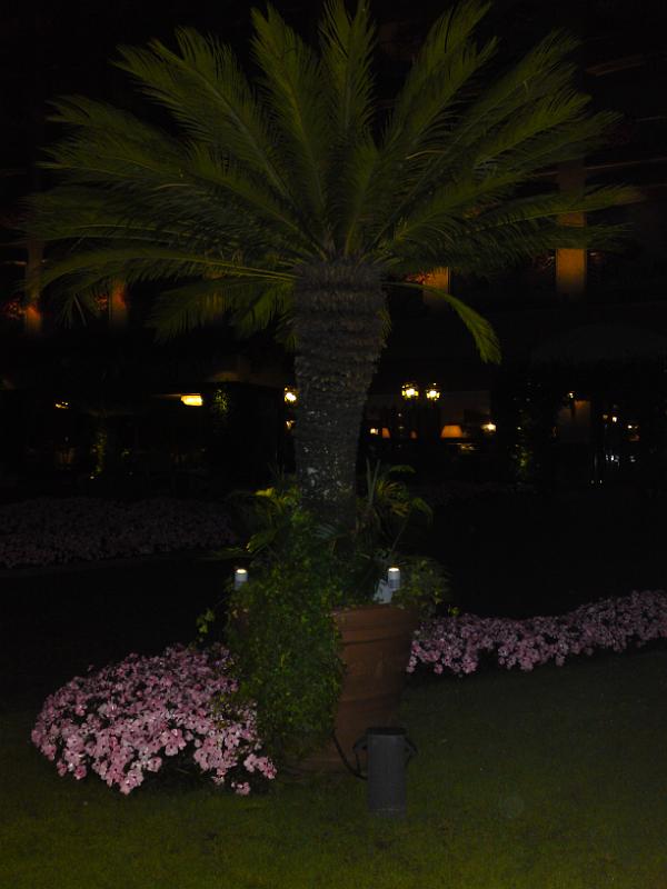 DSC00714.JPG